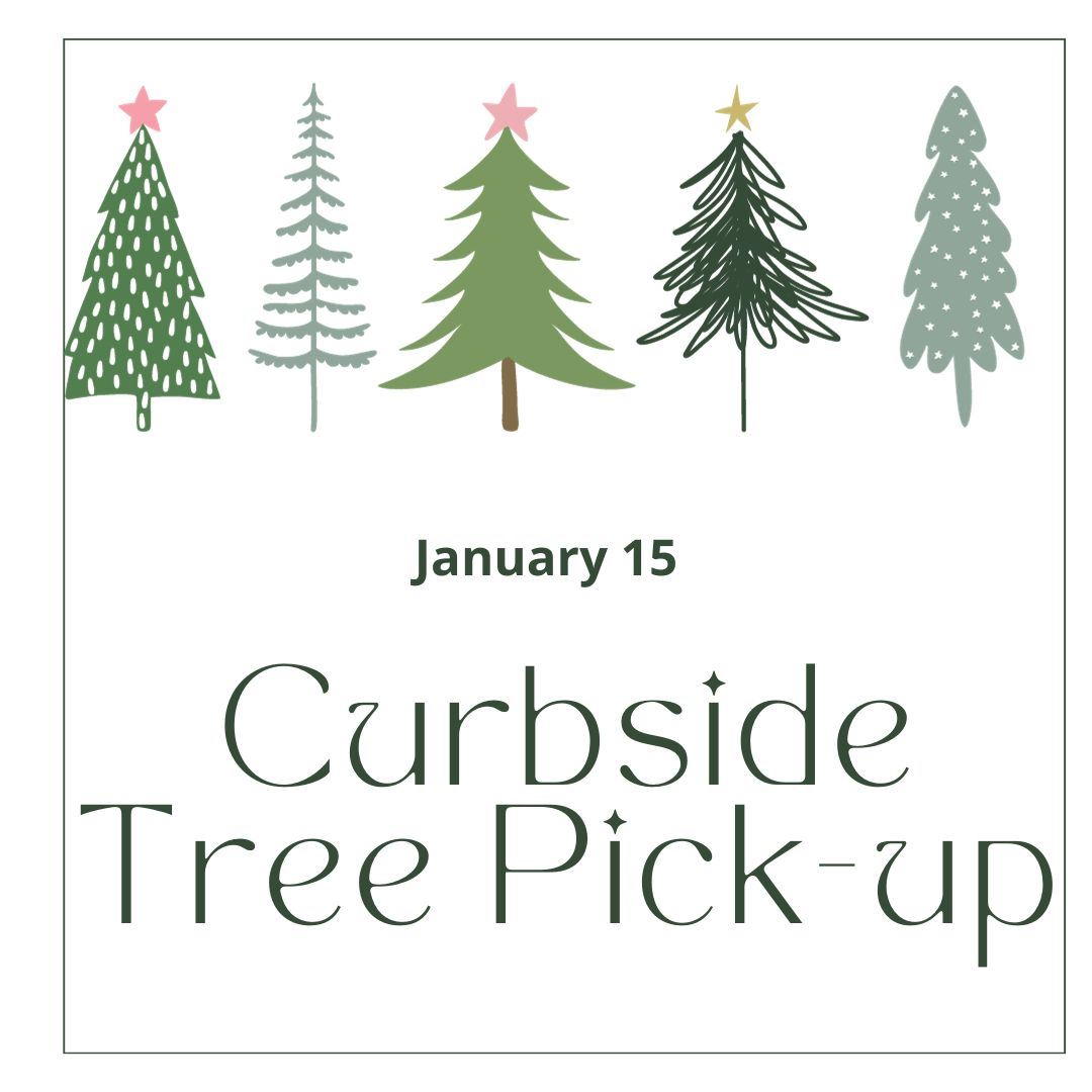 Curbside Christmas Tree Pick-up