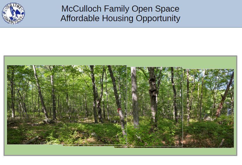 McCulloch Open Space cover page to presentation