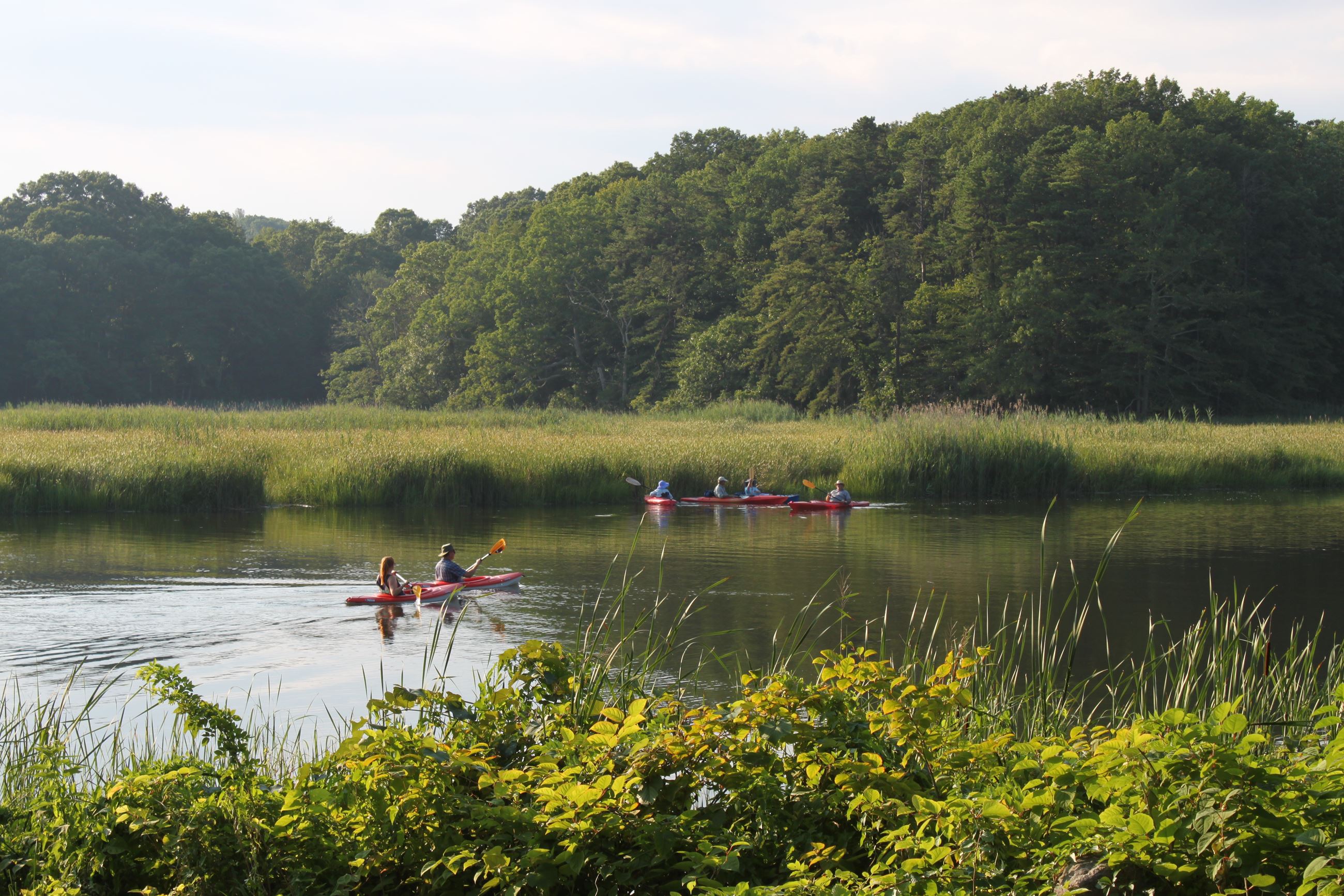 Midsummer Kayakers photo credit Cheryl Poirier