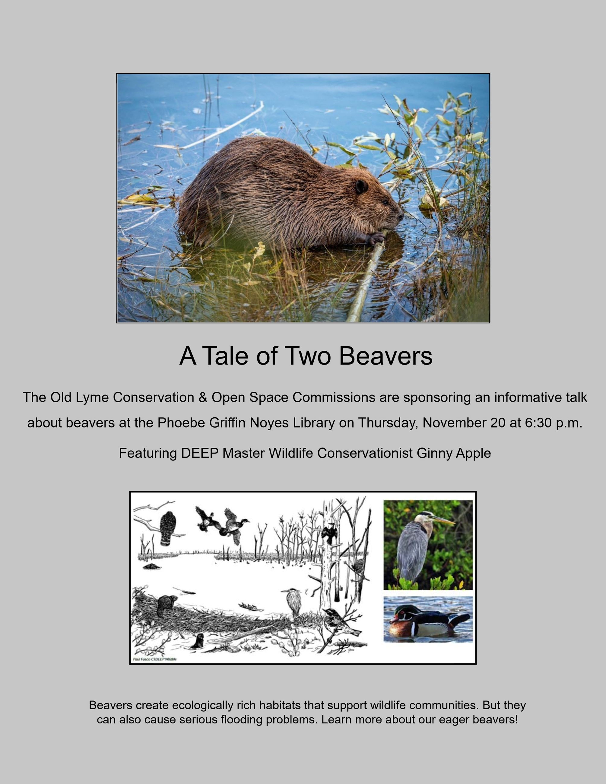 Beaver Talk Poster November 20, 2025 at 6:30PM